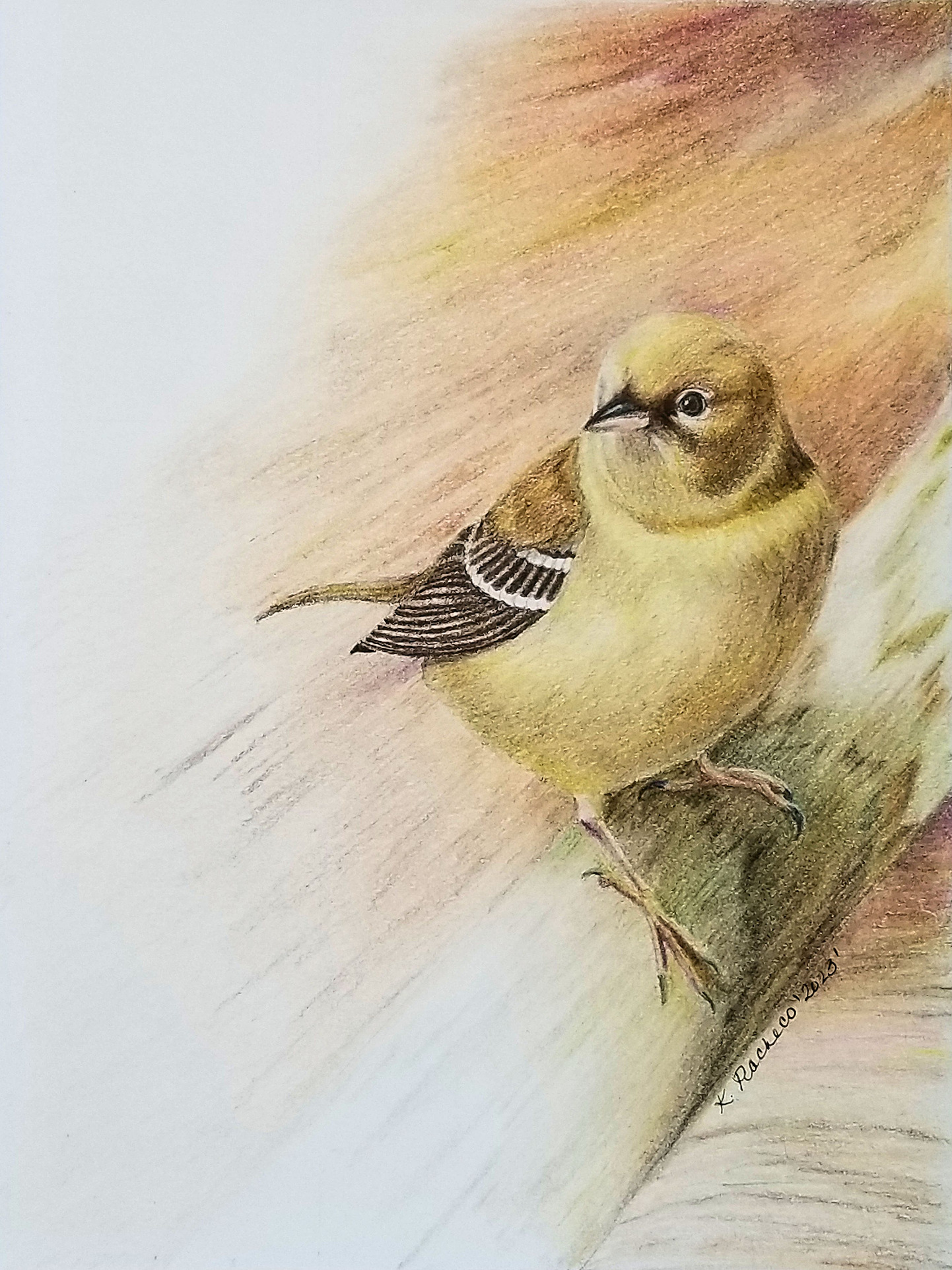 Drawings and Illustrations